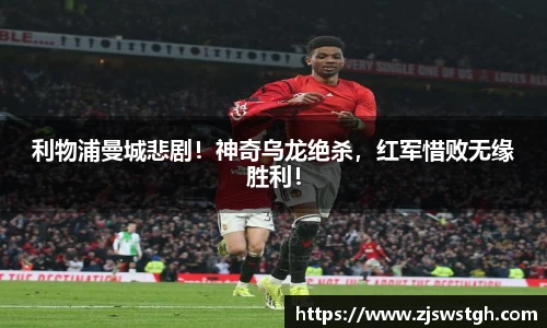 zoty中欧