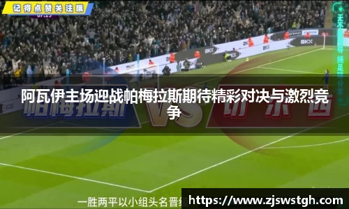 zoty中欧